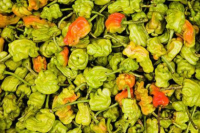 《时空勇者》重制版最终宣传片公布 游戏7月22日登录NS